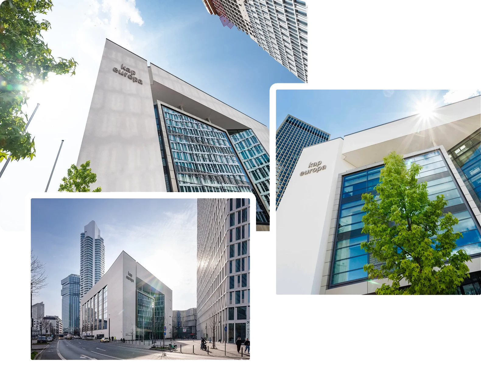 Kap Europa Frankfurt